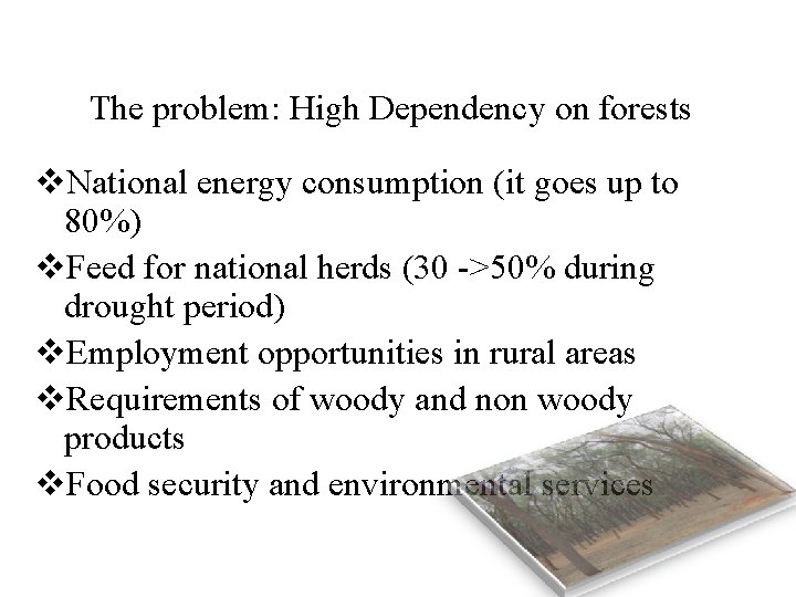 The problem: High Dependency on forests v. National energy consumption (it goes up to