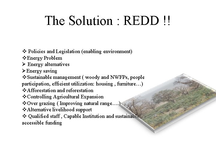 The Solution : REDD !! v Policies and Legislation (enabling environment) v. Energy Problem