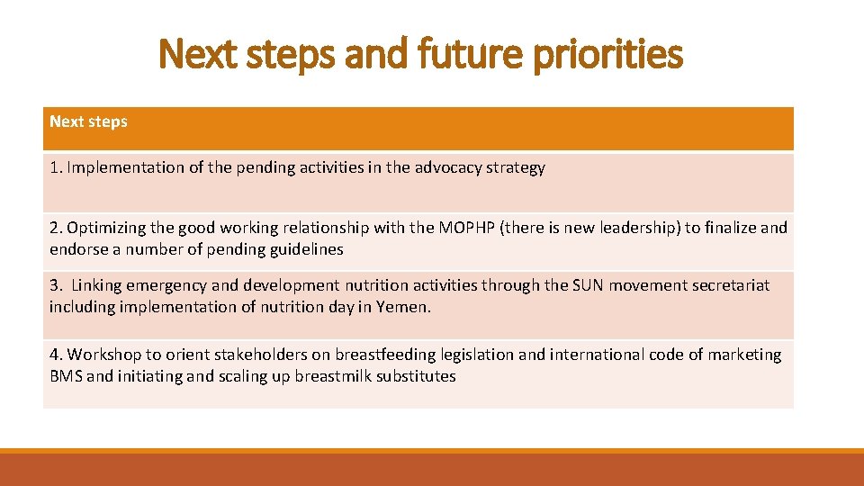 Next steps and future priorities Next steps 1. Implementation of the pending activities in