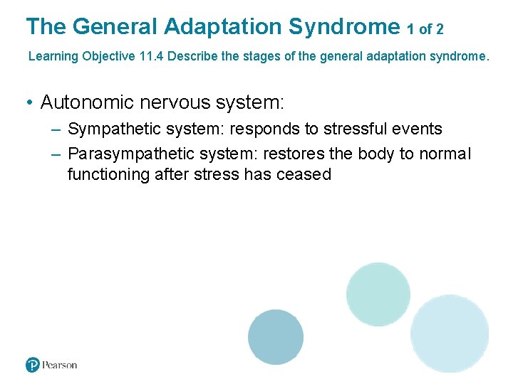 The General Adaptation Syndrome 1 of 2 Learning Objective 11. 4 Describe the stages