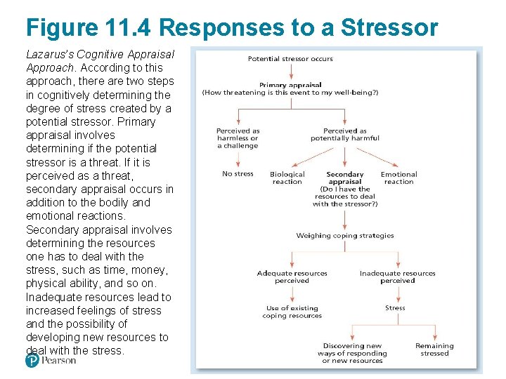 Figure 11. 4 Responses to a Stressor Lazarus’s Cognitive Appraisal Approach. According to this