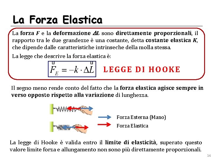 La Forza Elastica La forza F e la deformazione DL sono direttamente proporzionali, il