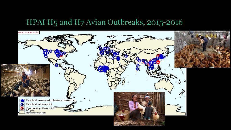 HPAI H 5 and H 7 Avian Outbreaks, 2015 -2016 