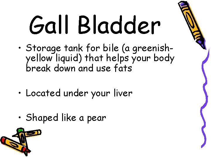 Gall Bladder • Storage tank for bile (a greenishyellow liquid) that helps your body