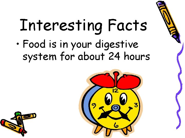 Interesting Facts • Food is in your digestive system for about 24 hours 