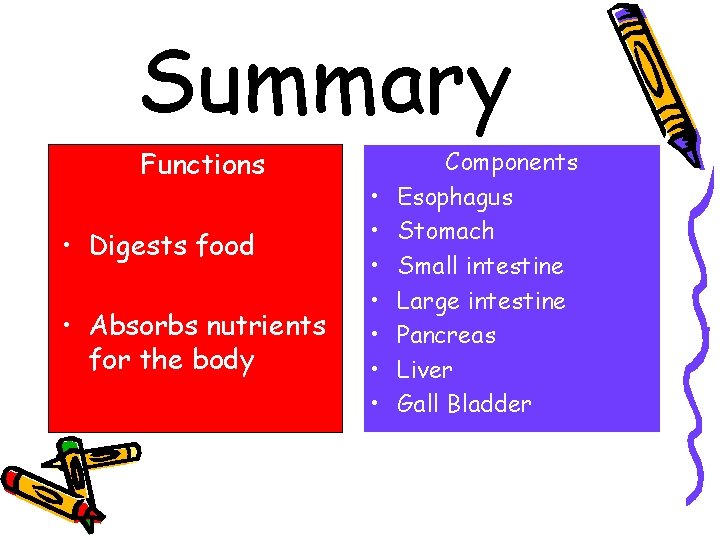 Summary Functions • Digests food • Absorbs nutrients for the body • • Components