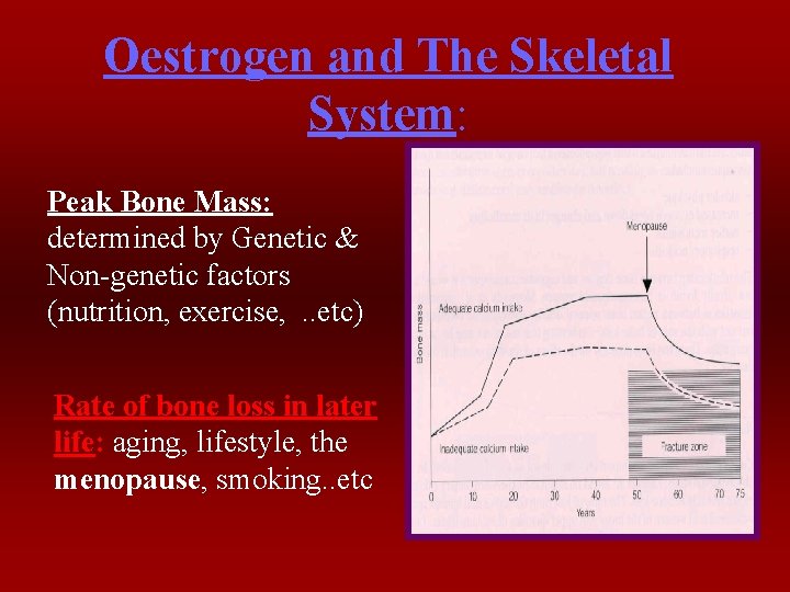 Oestrogen and The Skeletal System: Peak Bone Mass: determined by Genetic & Non-genetic factors