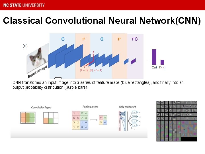 Classical Convolutional Neural Network(CNN) CNN transforms an input image into a series of feature