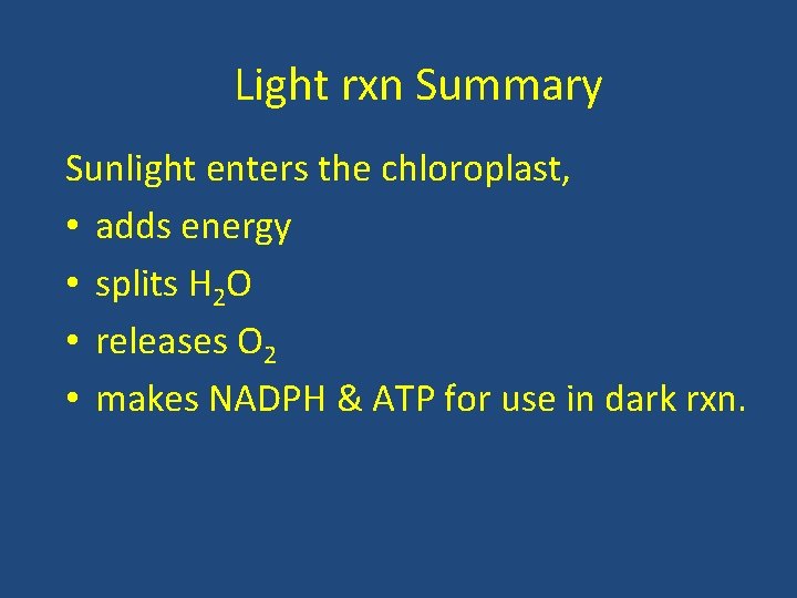 Light rxn Summary Sunlight enters the chloroplast, • adds energy • splits H 2