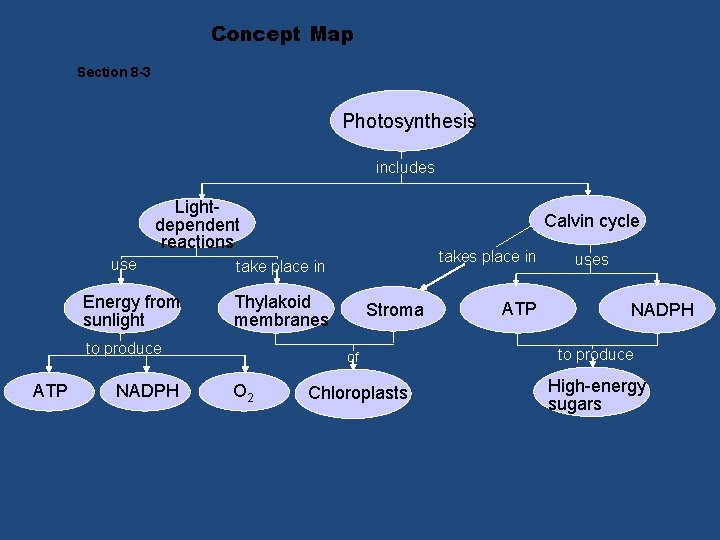 Concept Map Section 8 -3 Photosynthesis includes Lightdependent reactions use Energy from sunlight NADPH