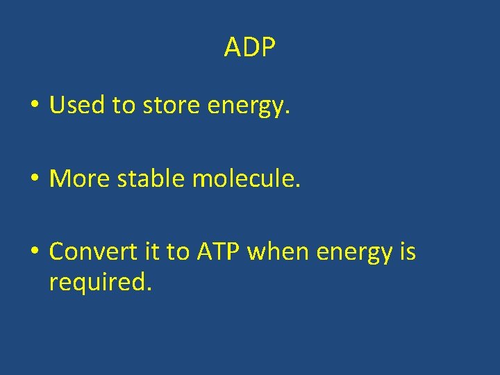 ADP • Used to store energy. • More stable molecule. • Convert it to