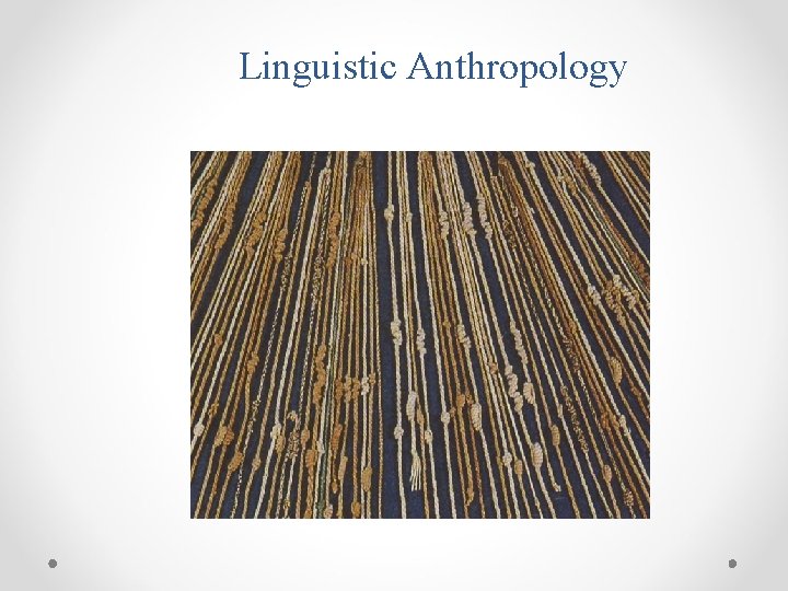 Linguistic Anthropology 