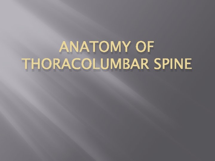 ANATOMY OF THORACOLUMBAR SPINE 