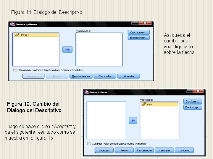 Figura 11: Dialogo del Descriptivo Así queda el cambio una vez cliqueado sobre la