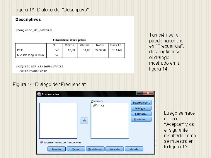 Figura 13: Dialogo del “Descriptivo” También se le puede hacer clic en “Frecuencia”, desplegándose