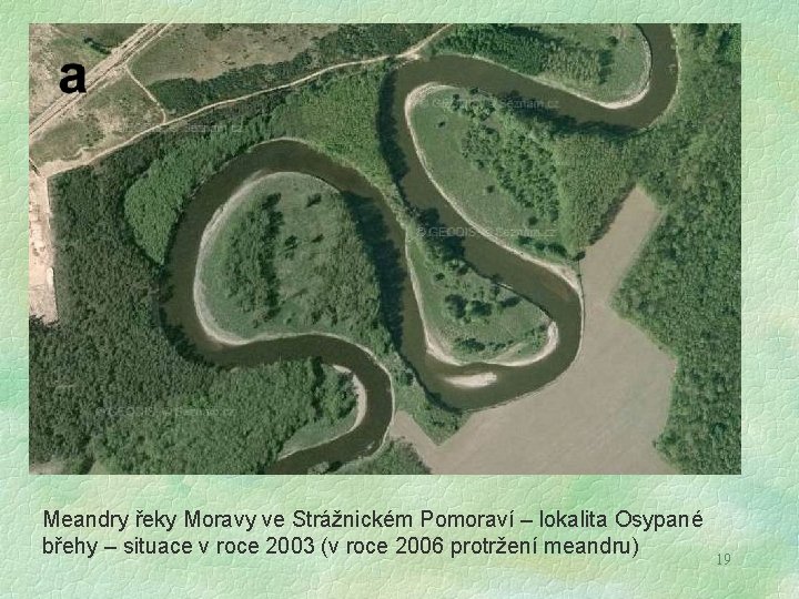 Meandry řeky Moravy ve Strážnickém Pomoraví – lokalita Osypané břehy – situace v roce