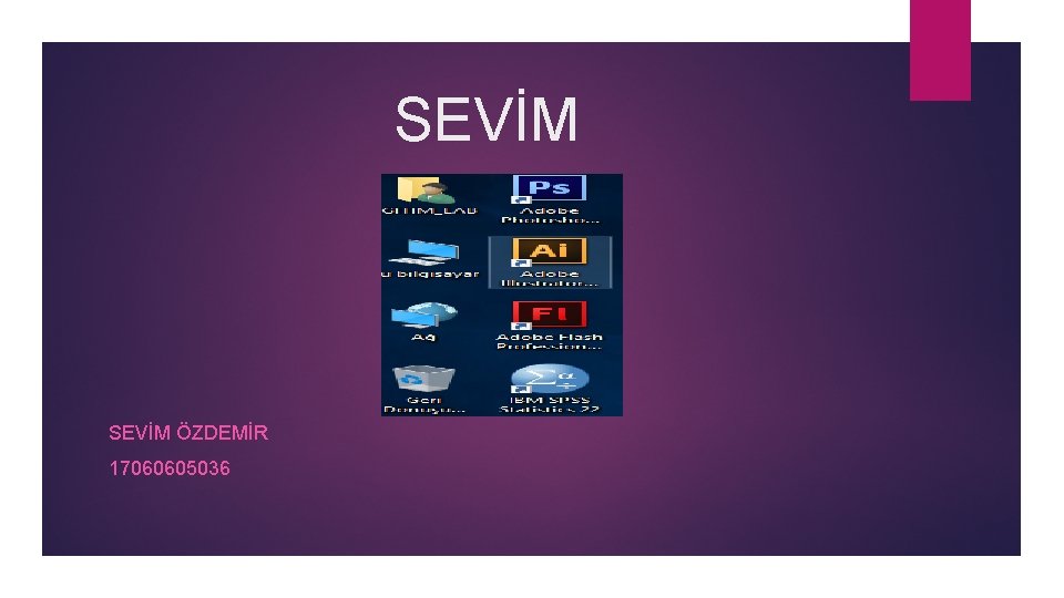 SEVİM ÖZDEMİR 17060605036 