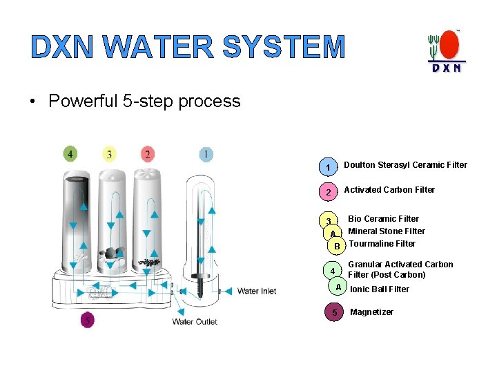 DXN WATER SYSTEM • Powerful 5 -step process 1 Doulton Sterasyl Ceramic Filter 2 DXN WATER SYSTEM • Powerful 5 -step process 1 Doulton Sterasyl Ceramic Filter 2
