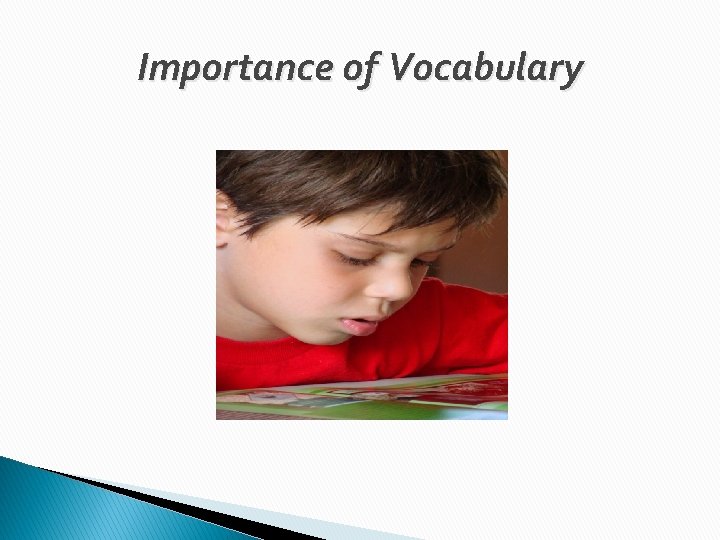 Importance of Vocabulary 