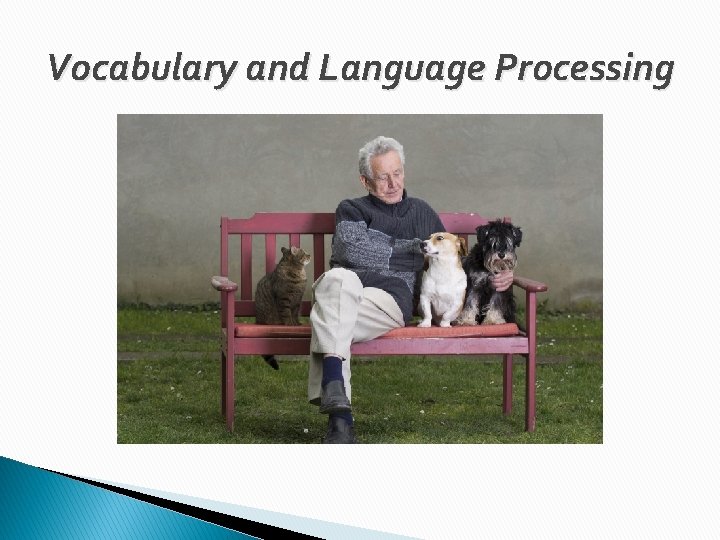 Vocabulary and Language Processing 