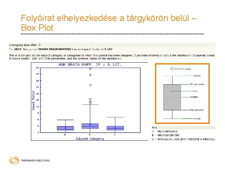 Folyóirat elhelyezkedése a tárgykörön belül – Box Plot 