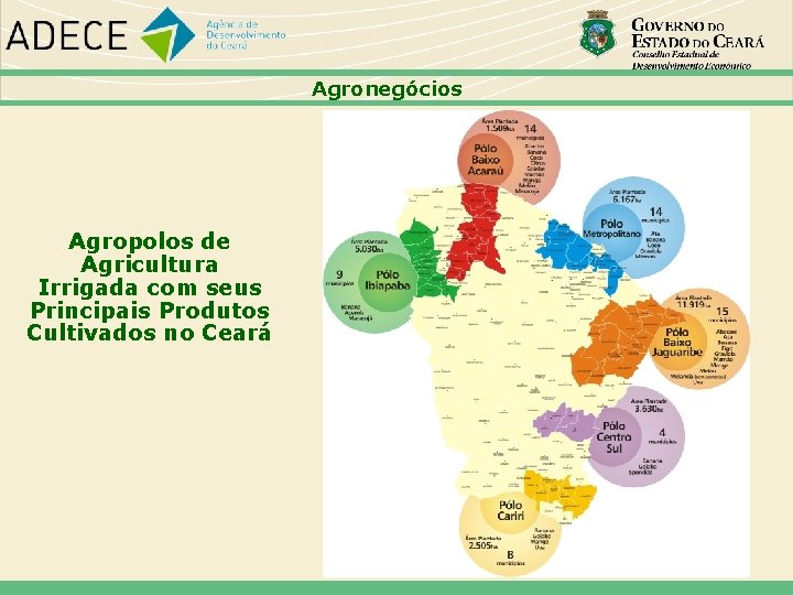 Agronegócios Agropolos de Agricultura Irrigada com seus Principais Produtos Cultivados no Ceará 