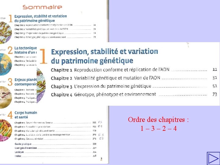 Ordre des chapitres : 1– 3– 2– 4 