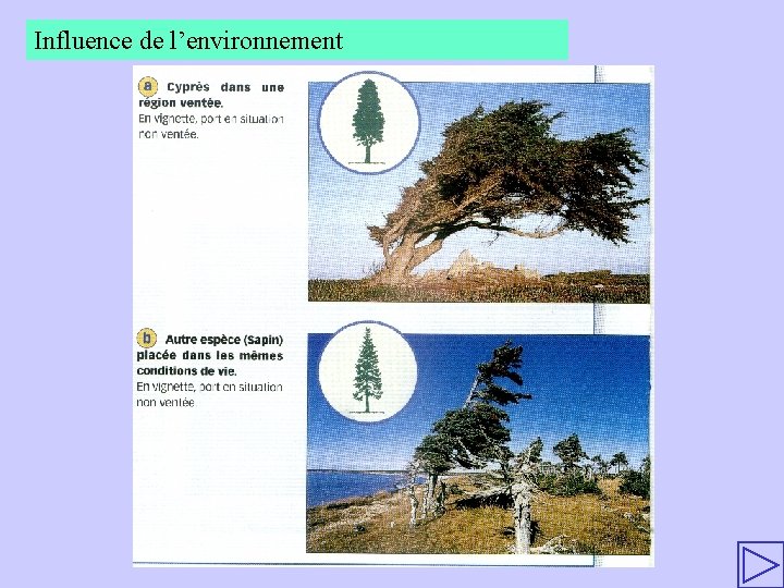 Influence de l’environnement 