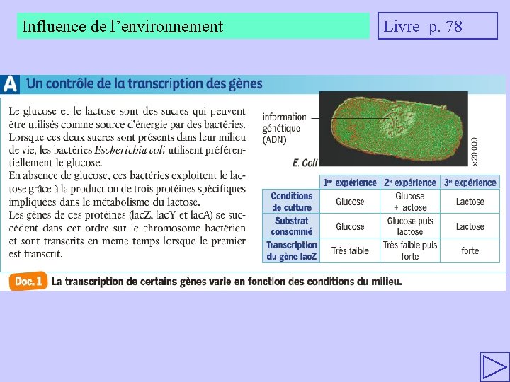 Influence de l’environnement Livre p. 78 