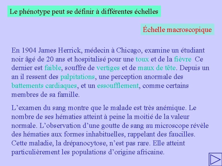 Le phénotype peut se définir à différentes échelles Échelle macroscopique En 1904 James Herrick,