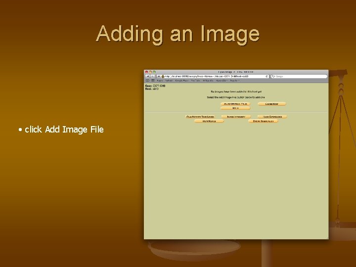 Adding an Image • click Add Image File 