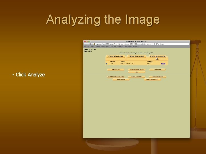 Analyzing the Image • Click Analyze 