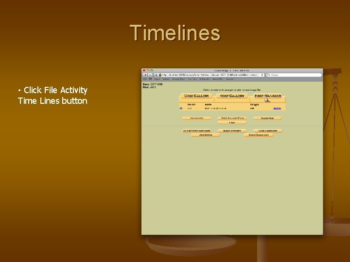 Timelines • Click File Activity Time Lines button 