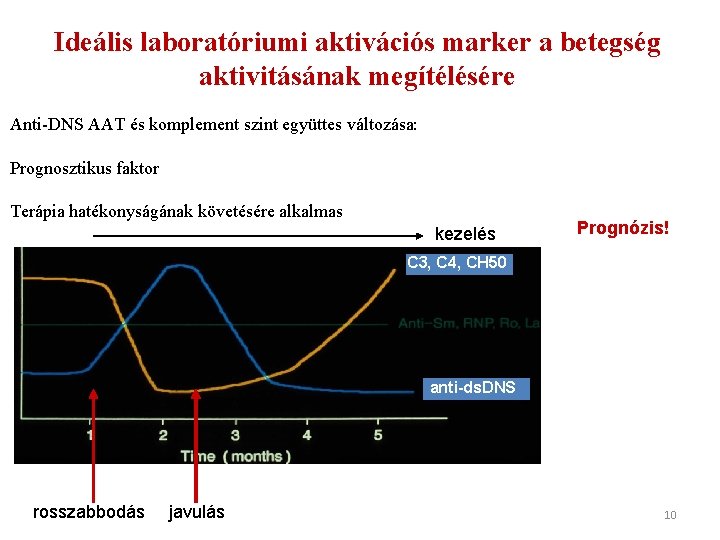 Ideális laboratóriumi aktivációs marker a betegség aktivitásának megítélésére Anti-DNS AAT és komplement szint együttes