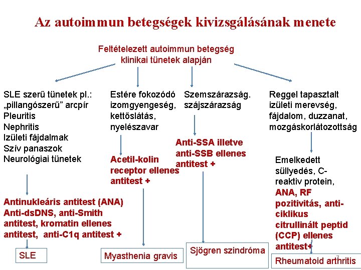 Az autoimmun betegségek kivizsgálásának menete Feltételezett autoimmun betegség klinikai tünetek alapján SLE szerű tünetek