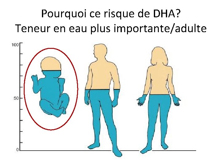 Pourquoi ce risque de DHA? Teneur en eau plus importante/adulte 