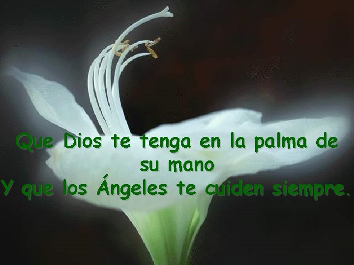 Que Dios te tenga en la palma de su mano Y que los Ángeles