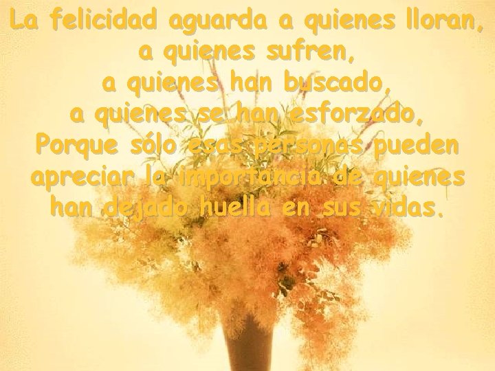 La felicidad aguarda a quienes lloran, a quienes sufren, a quienes han buscado, a