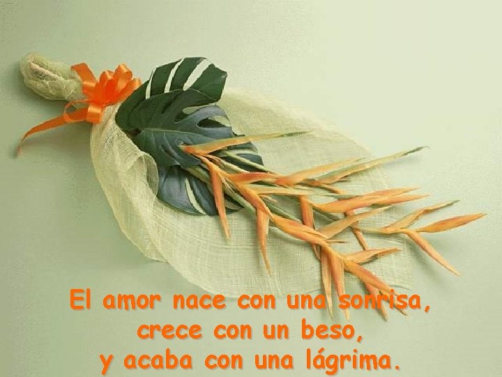 El amor nace con una sonrisa, crece con un beso, y acaba con una