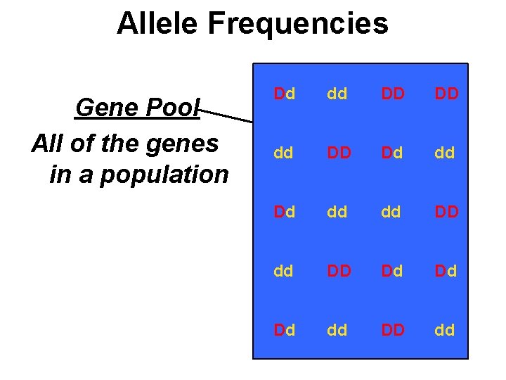 Allele Frequencies Gene Pool All of the genes in a population Dd dd DD