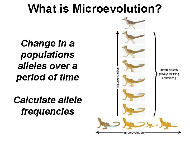 What is Microevolution? Change in a populations alleles over a period of time Calculate