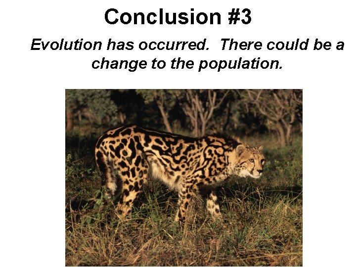 Conclusion #3 Evolution has occurred. There could be a change to the population. 
