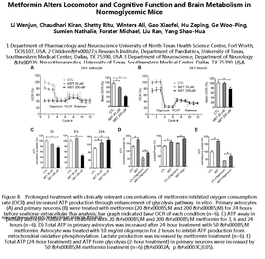 Metformin Alters Locomotor and Cognitive Function and Brain Metabolism in Normoglycemic Mice Li Wenjun,