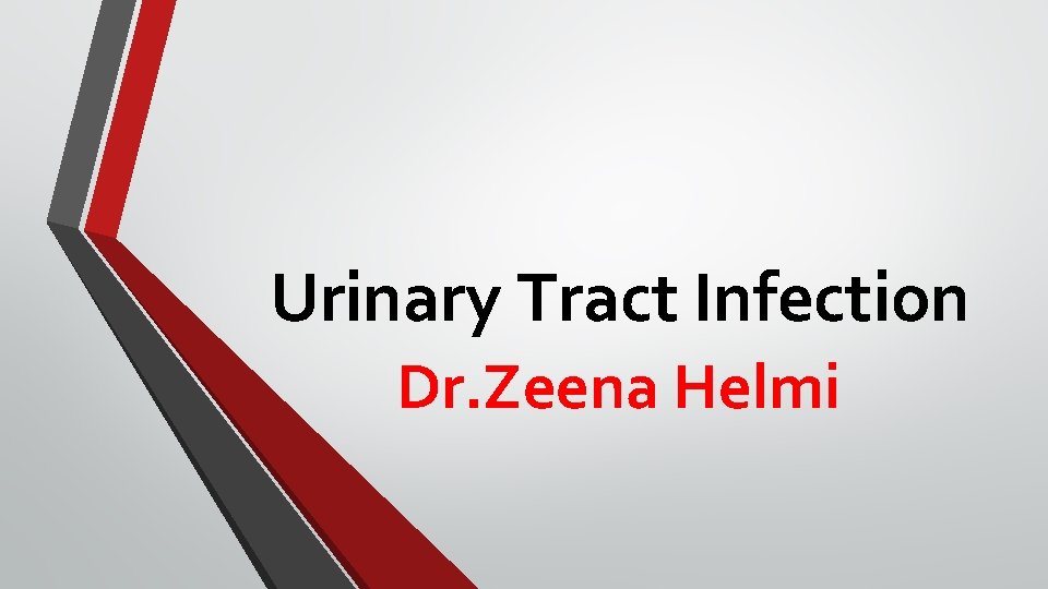 Urinary Tract Infection Dr. Zeena Helmi 