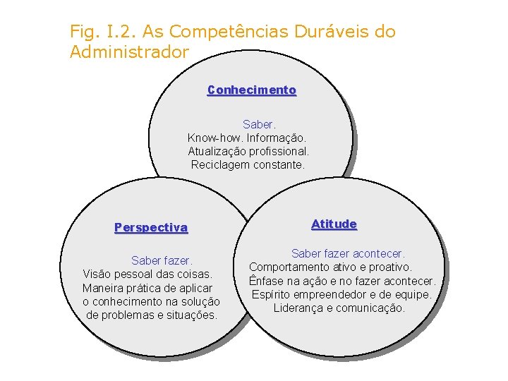 Fig. I. 2. As Competências Duráveis do Administrador Conhecimento Saber. Know-how. Informação. Atualização profissional.