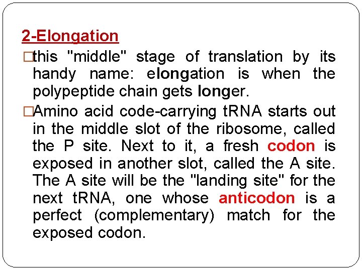 2 -Elongation �this "middle" stage of translation by its handy name: elongation is when