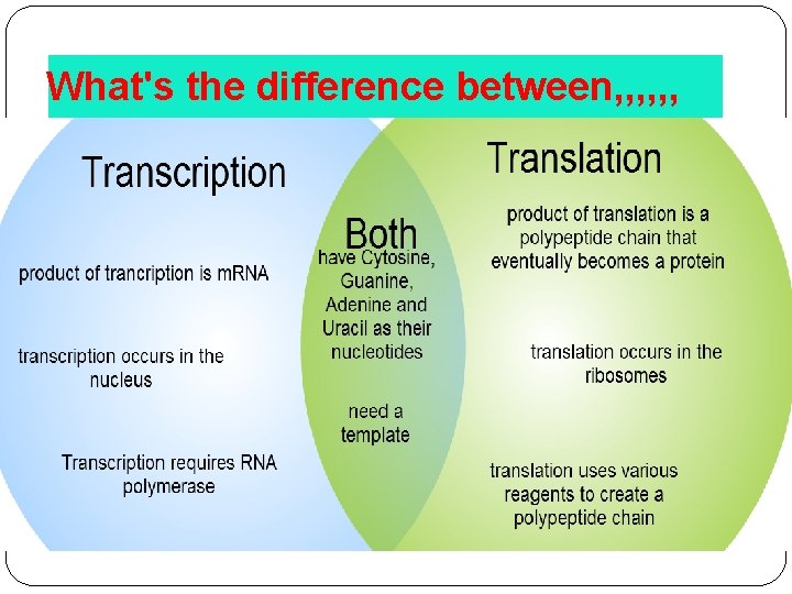 What's the difference between, , , 
