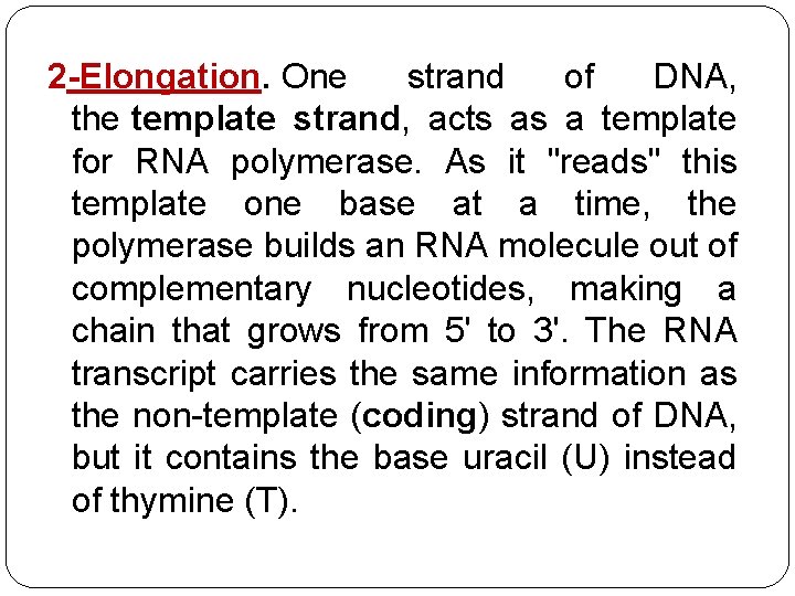 2 -Elongation. One strand of DNA, the template strand, acts as a template for