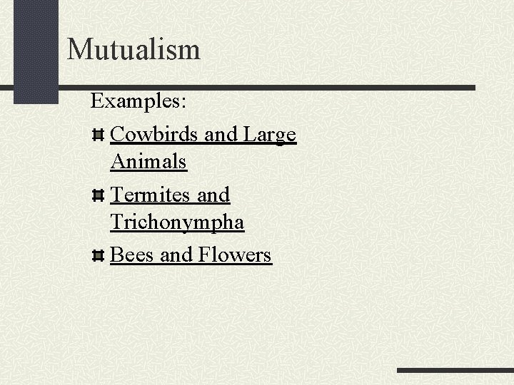 Mutualism Examples: Cowbirds and Large Animals Termites and Trichonympha Bees and Flowers 