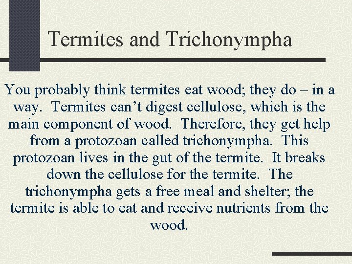 Termites and Trichonympha You probably think termites eat wood; they do – in a